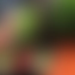 Composting 101: The Lazy Person’s Guide