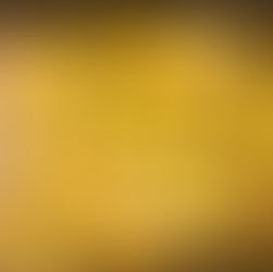 Zero Waste Mini Holiday Gift Guide: Part 1