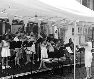 Kopie von K_Erlibacherstrings_sw600.png