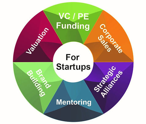Startup Funding, Valuation Strategic Alliances