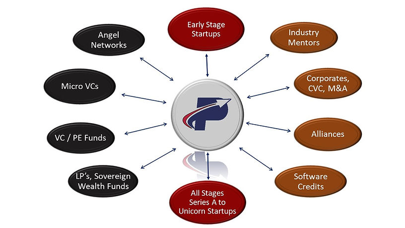 Network of Networks of startups and investors JPG.jpg