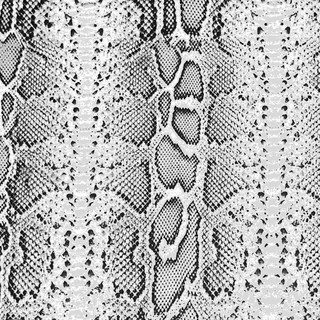 rachel-rivera_boys-+-arrows_snakeskin.jp