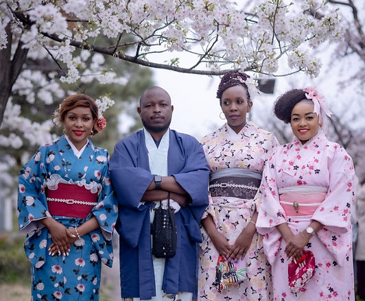 JAPAN: CHERRY BLOSSOMS