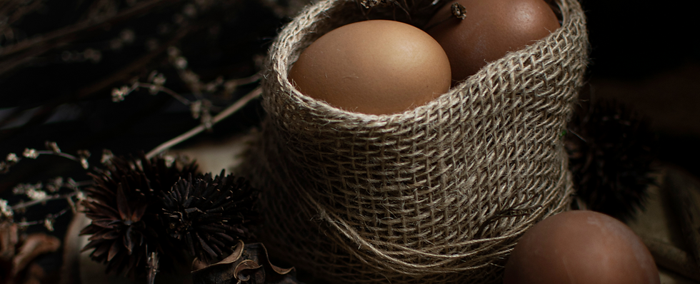 Untitled design (11).png