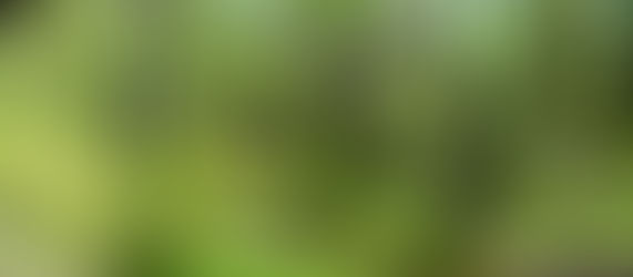Ecología y manejo en ecosistemas multi-invadidos en el NO patagónico