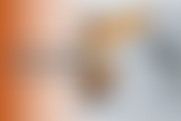 What challenges does the KUKA KR QUANTEC face in metal factories? And what type of jacket can truly protect it?