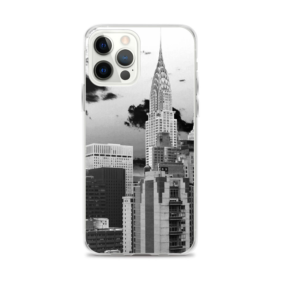 Thumbnail: B&W iPhone Case