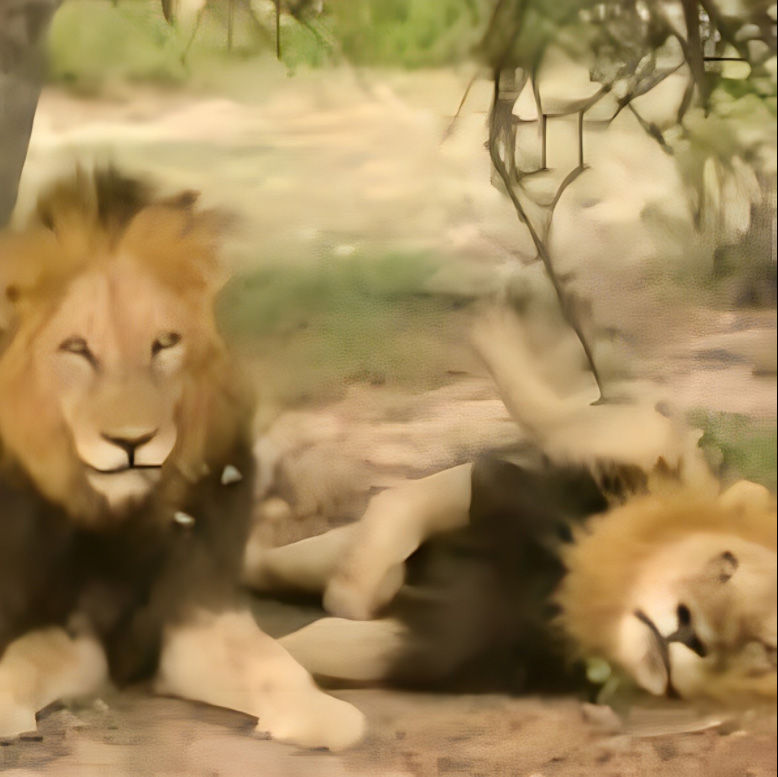 South Africa: What Dreams are Made of ~February 25-March 9- 2027     