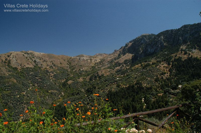 zourva hills