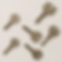 ChatGPT Image 19. Okt. 2025, 20_54_04.jpg
