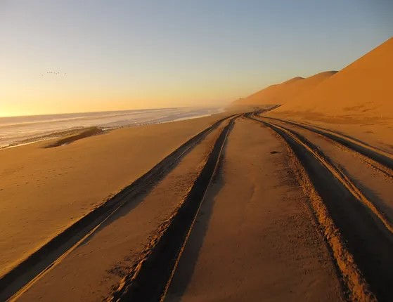 Dune Drive at the coast