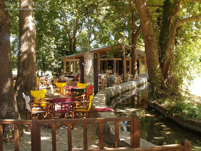 Armeni