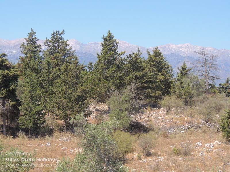 Large villas in Crete for groups