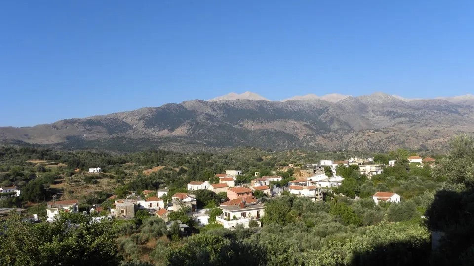 Alikambos