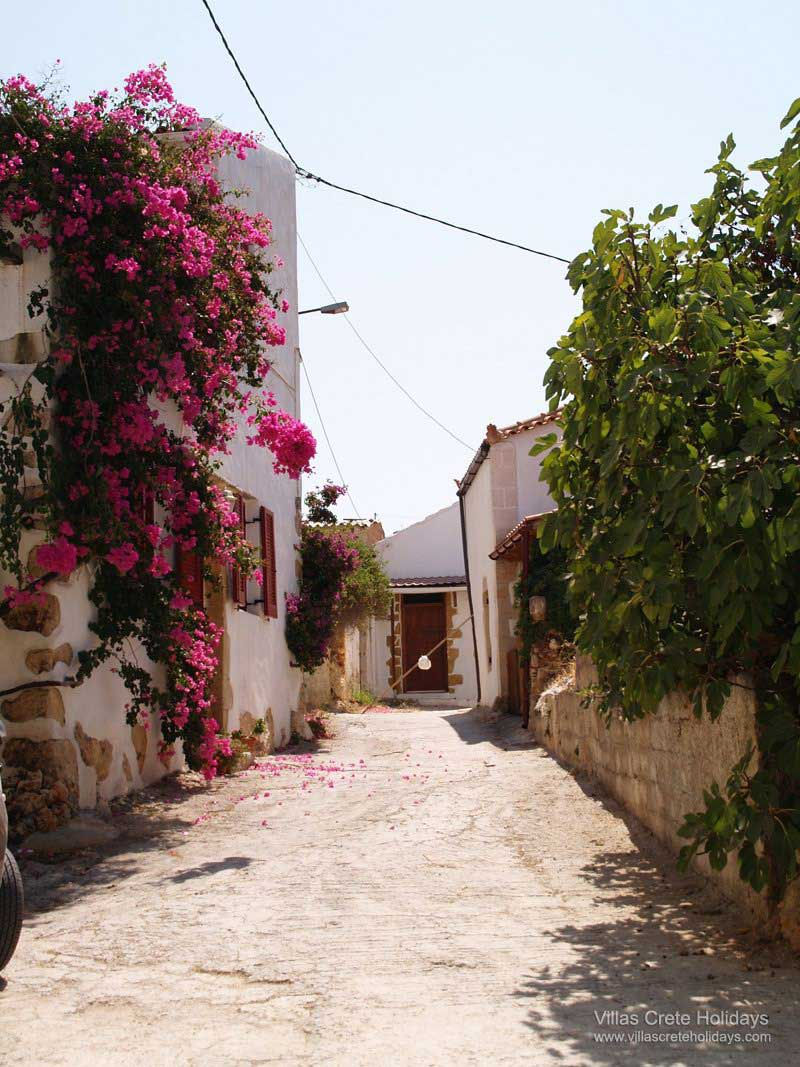plaka