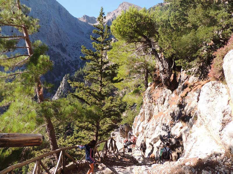 Samaria Gorge