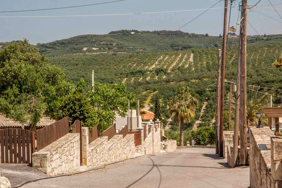 Darmarohori