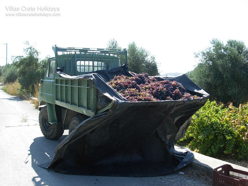 Tsivaras Crète