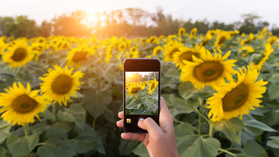 Curso de Fotografía y Video con Celular