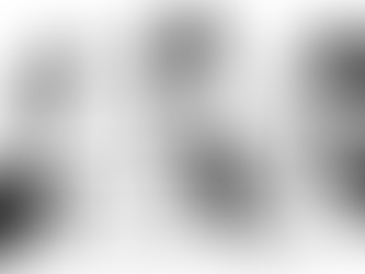 Notion Forms