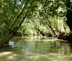 photo-promenade-barque-marais-poitevin-a