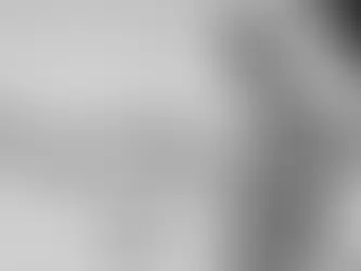 Crítica | O Estrangeiro