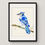 Thumbnail: Blue Jay