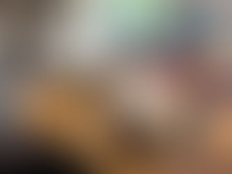 【宮の森ブロック】ブルーベリー狩り改め巨大段ボールで遊ぼう