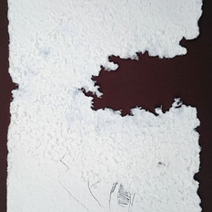 Jan Karpíšek - Donald Trump #1 (2016), honeybee interaction on handmade paper, contemporary political portrait, trump art
