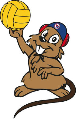Beaver Water Polo