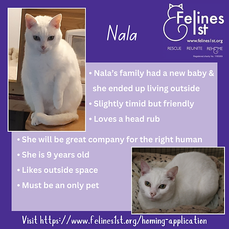 Want to help us with a regular donation (1).png