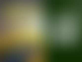 Hilleberg KERON 4 GT | The Ultimate Review