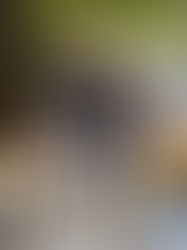 Nem tudo muda quando uma empresa cresce. Ainda bem.