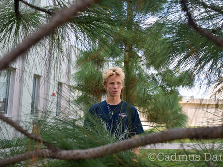 Composition in Photography