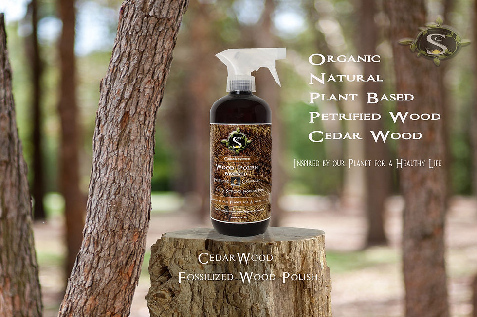 Cedar Wood Scent  & Petrified Wood Polish