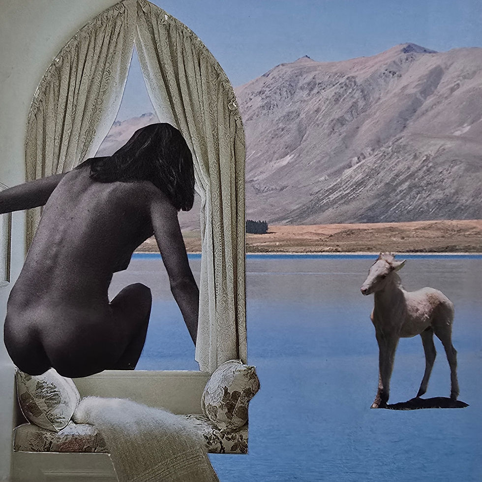 Potter - Untitled i, 2026.jpg