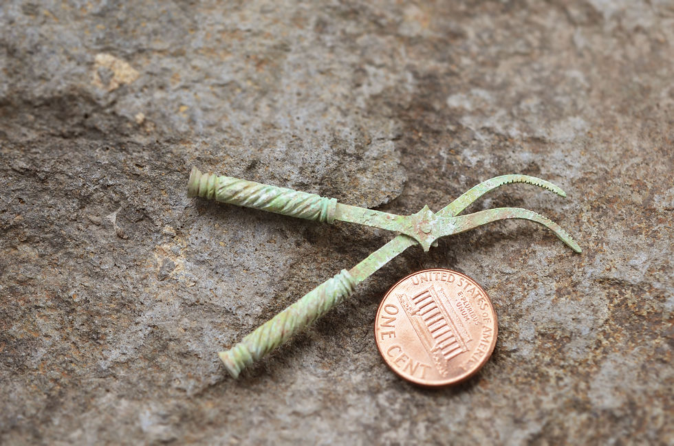Leah Yao - Miniature replica of an Ancient Greek bone forceps.jpg
