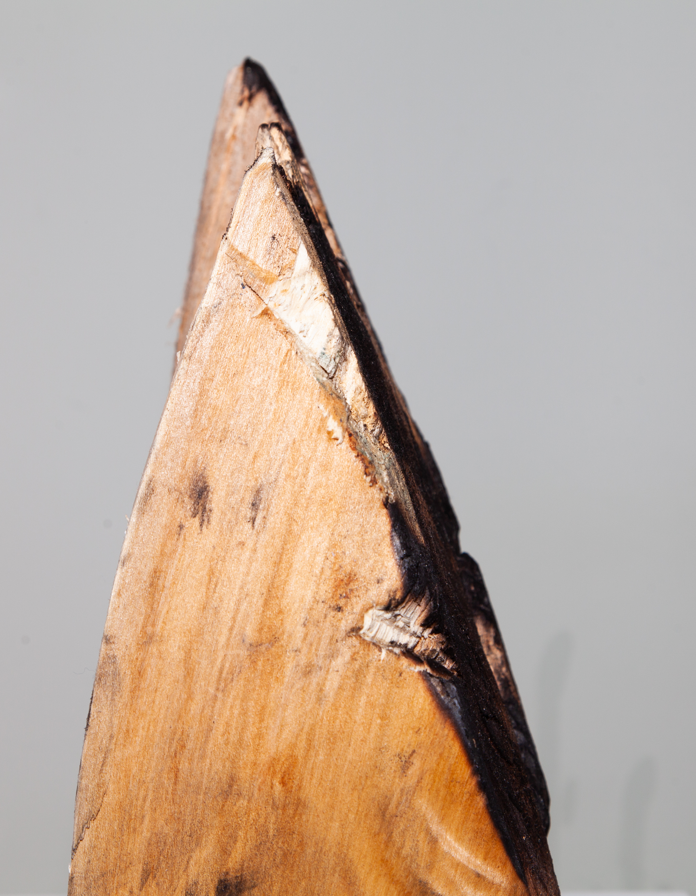 jonathantang_LOG731_5.jpg