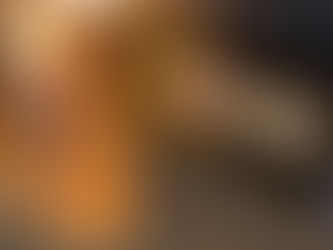 パルマハム協会様×超パルマ会