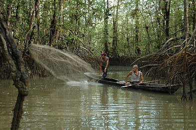 1114364_Crab_Trap_2.jpg