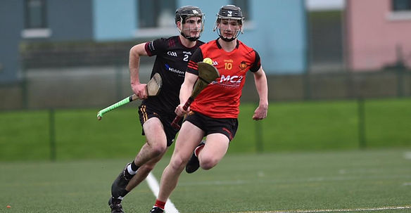 Harty Hurling image 2