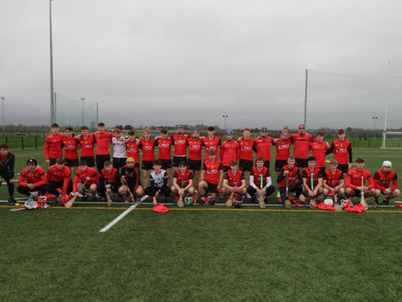 Harty Cup 1/4 Final 2025