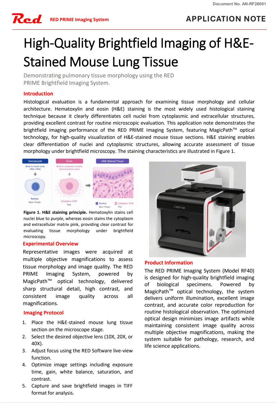 High-Quality Brightfield Imaging of H&E-Stained Mouse Lung Tissue (Red Prime) 