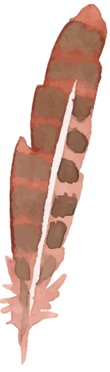 Feather 5