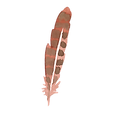 plume 5