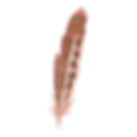 Feather 5