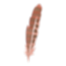 veer 5