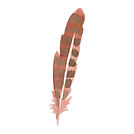 plume 5