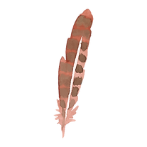Feather 5