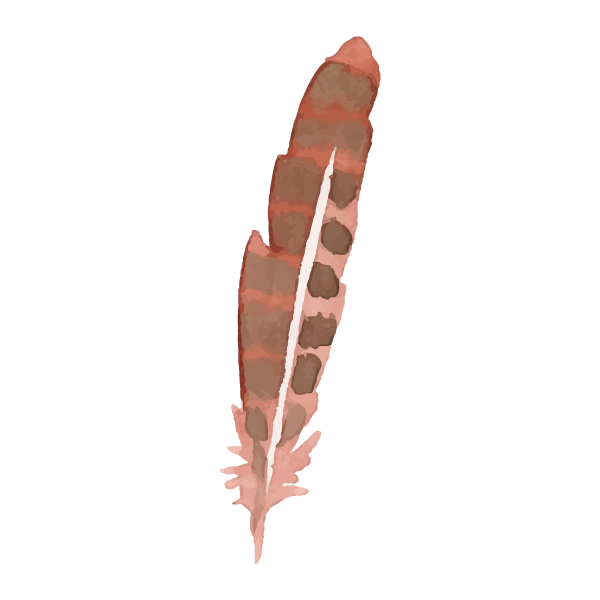 Painted Feather Illustration